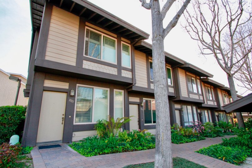 Mesa Bluffs Costa Mesa CA